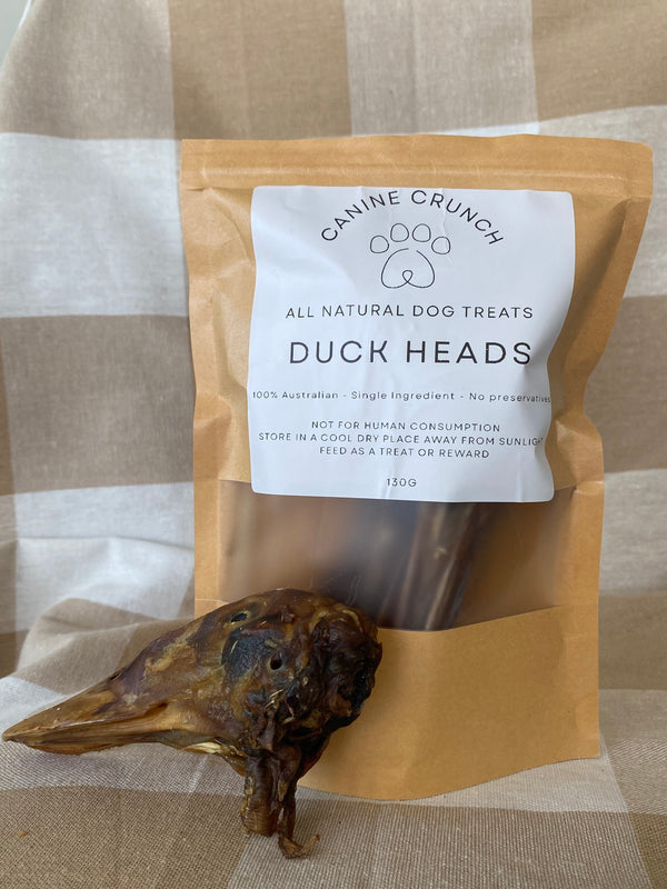Duck Head
